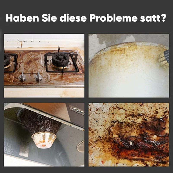 Sakerplus® Hochtemperatur- und Hochdruck-Dampfreinigungsmaschine