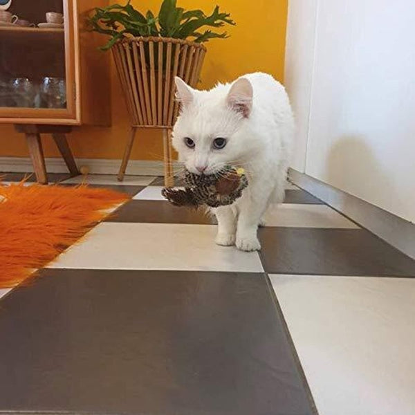 Sakerplus® Simulierter zwitschernder Vogel - Katzenspielzeug