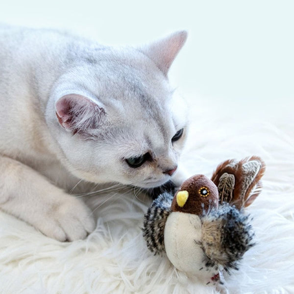 Sakerplus® Simulierter zwitschernder Vogel - Katzenspielzeug