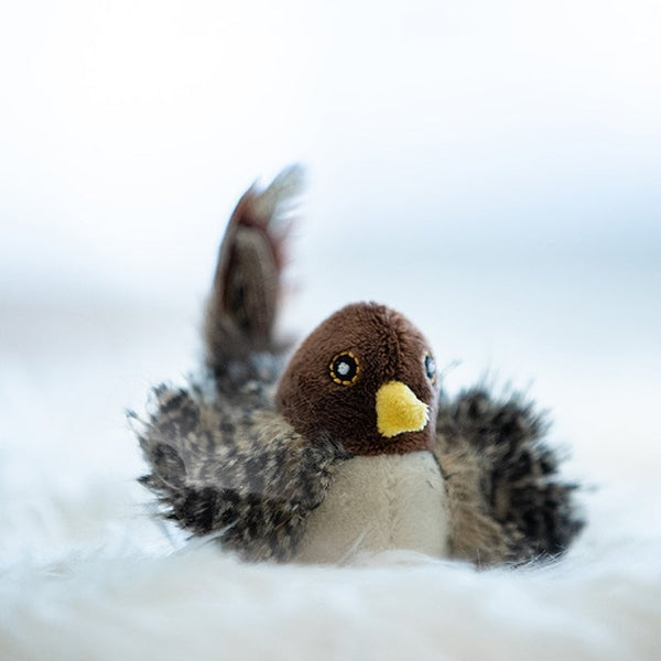 Sakerplus® Simulierter zwitschernder Vogel - Katzenspielzeug