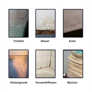 Sakerplus® Anti-Schimmel-Reinigungsschaum