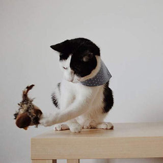 Sakerplus® Simulierter zwitschernder Vogel - Katzenspielzeug