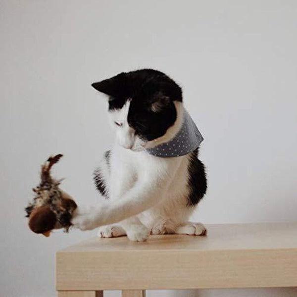 Sakerplus® Simulierter zwitschernder Vogel - Katzenspielzeug
